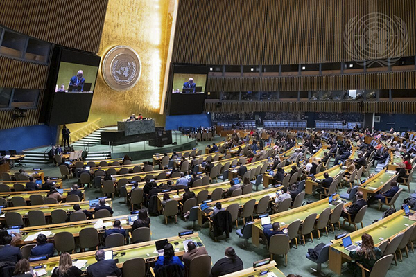 BAPA+40 Review Process Advances as Member States Begin Negotiations on Modalities